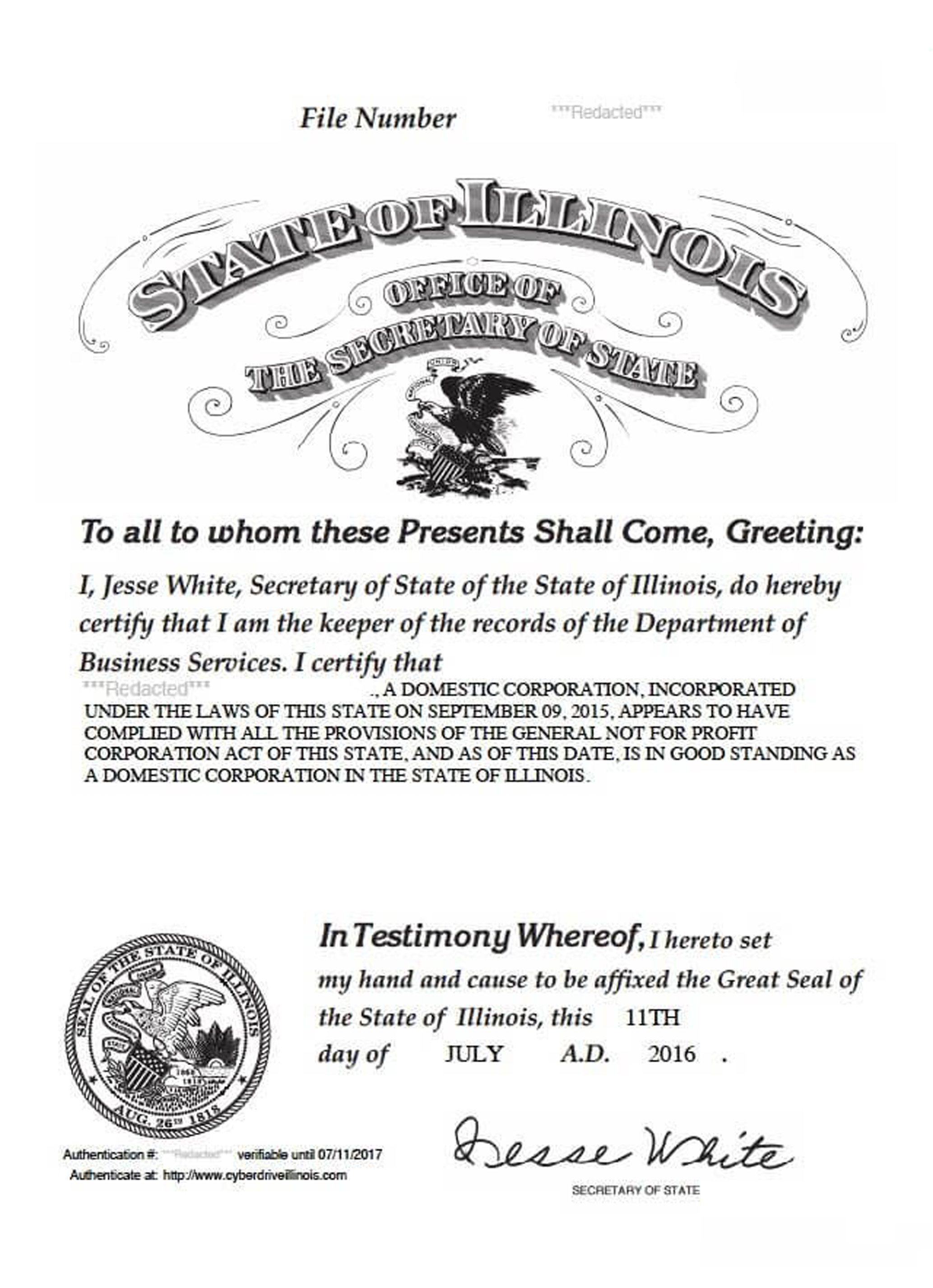 USA Illinois certificate of good standing